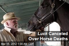 Luck Canceled Over Horse Deaths