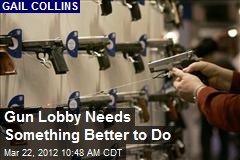 Gun Lobby Needs Something Better to Do