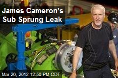 James Cameron&#39;s Sub Sprung Leak