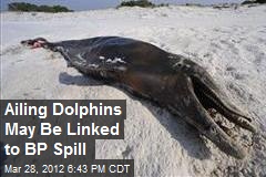 Ailing Dolphins May Be Linked to BP Spill