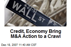 Credit, Economy Bring M&amp;A Action to a Crawl