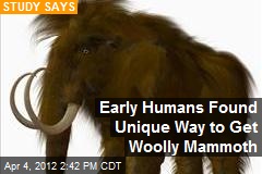 Early Humans Found Unique Way to Get Woolly Mammoth