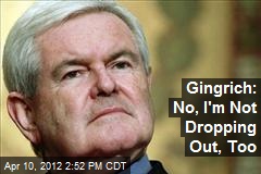 Gingrich: No, I&#39;m Not Dropping Out, Too