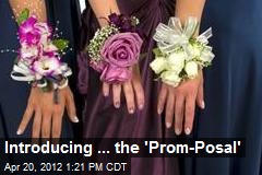 Introducing ... the &#39;Prom-Posal&#39;