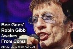 Bee Gees&#39; Robin Gibb Awakes From Coma
