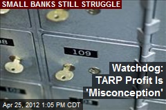 Watchdog: TARP Profit Is &#39;Misconception&#39;