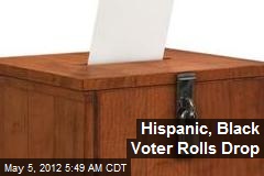 Hispanic, Black Voter Rolls Drop