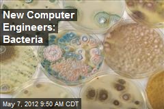 New Computer Engineers: Bacteria