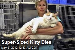 Super-Sized Kitty Dies