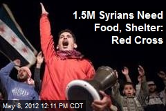 1.5M Syrians Need Food, Shelter: Red Cross