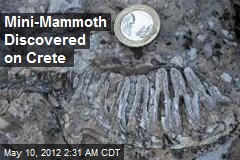 Mini-Mammoth Discovered on Crete