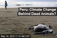 Peru: Climate Change Behind Dead Animals?