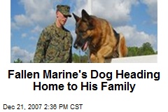 Fallen Marine's Dog Heading Home to His Family