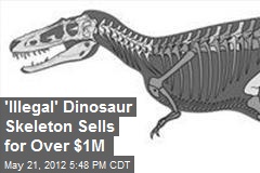 &#39;Illegal&#39; Dinosaur Skeleton Sells for Over $1M