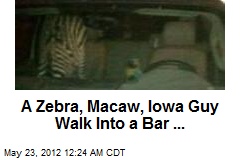 A Zebra and Macaw Walk Into a Bar ...