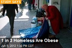 1 in 3 Homeless Are Obese