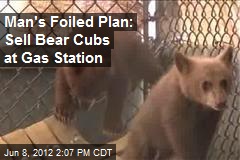 Man&#39;s Foiled Plan: Sell Bear Cubs at Gas Station