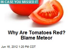 Red Tomatoes Explained: Blame Meteor