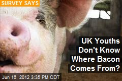 UK Youths Don&#39;t Know Where Bacon Comes From?