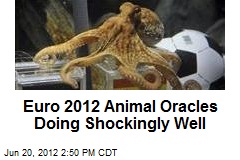 Euro 2012 Animal Oracles Doing Shockingly Well