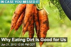 Why Eating Dirt Is Good for Us