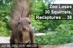 Zoo Loses 30 Squirrels, Recaptures ... 38