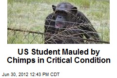 US Student Mauled by Chimps in Critical Condition