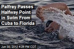 Palfrey Passes Halfway Point in Swim From Cuba to Florida