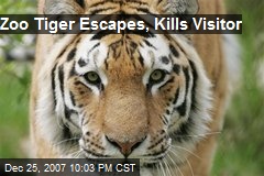 Zoo Tiger Escapes, Kills Visitor