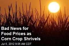 Bad News for Food Prices as Corn Crop Shrivels