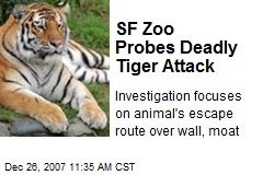 SF Zoo Probes Deadly Tiger Attack