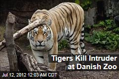 Tigers Kill Intruder at Danish Zoo