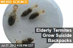 Elderly Termites Grow Suicide Backpacks