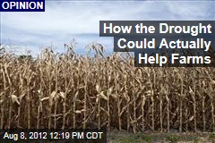 How the Drought Could Actually Help Farms