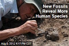 New Fossils Reveal More Human Species