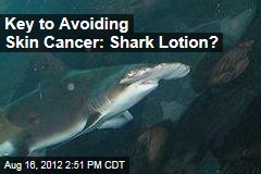 Key to Skin Cancer Cure: Shark Lotion?