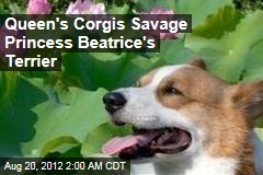 Queen&#39;s Corgis Savage Princess Beatrice&#39;s Terrier