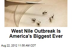 West Nile Outbreak Is America&#39;s Biggest Ever