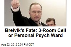 Breivik&#39;s Fate: 3-Room Cell or Personal Psych Ward