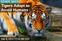 Tigers Adapt to Avoid Humans
