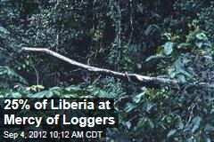 25% of Liberia at Mercy of Loggers