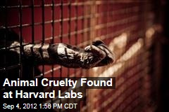 Animal Cruelty Found at Harvard Labs