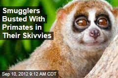 Smugglers Busted With Primates in Their Skivvies