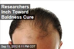Researchers Inch Toward Baldness Cure
