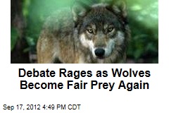 Debate Rages as Wolves Become Fair Prey Again