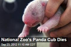 National Zoo&#39;s Panda Cub Dies