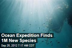 Ocean Expedition Finds 1M New Species