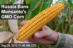 Russia Bans Monsanto&#39;s GMO Corn