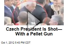 Czech President Is Shot&mdash;With a Pellet Gun