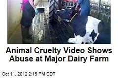 Animal Cruelty Video Shows Abuse at Major Dairy Farm